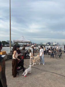 DOG DAY AFTERNOON 8 IMG 0386 2